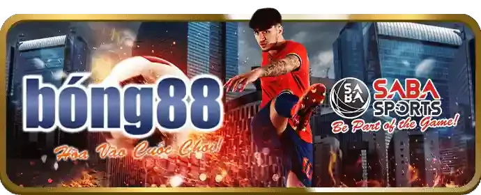 Người hâm mộ đang xem cá cược thể thao tại 13wim Casino